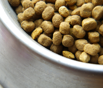 Up close shot of dog food bowl  